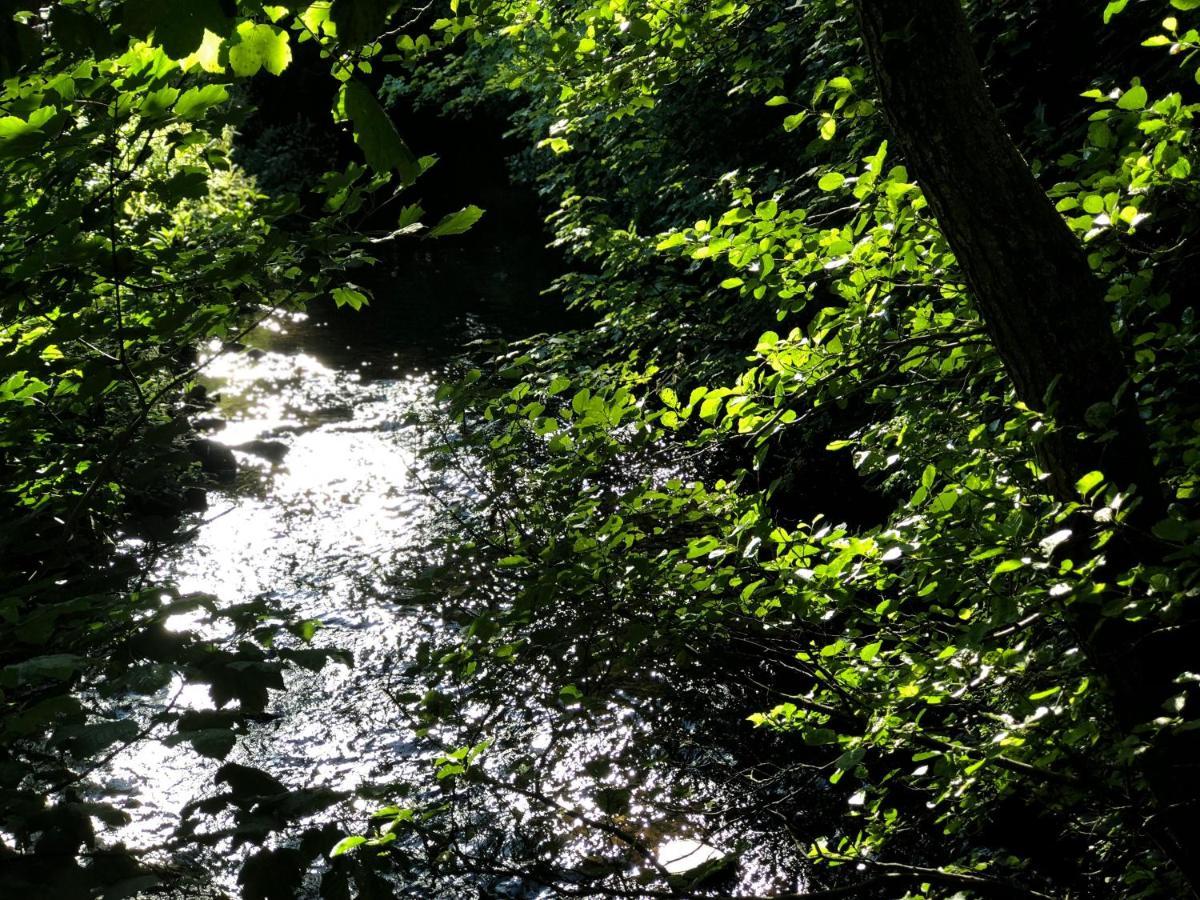 Lodge Otter Auchterarder