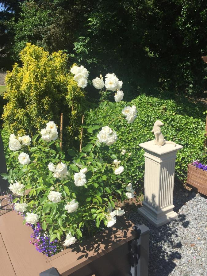 Otter Lodge Auchterarder